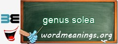 WordMeaning blackboard for genus solea